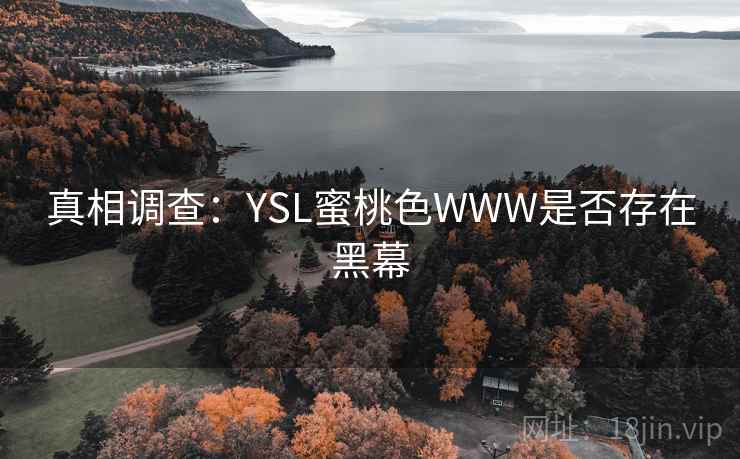 真相调查：YSL蜜桃色WWW是否存在黑幕